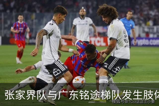 张家界队与广东铭途梯队发生肢体冲突，湖南省足协：暂停涉事人员参加省内一切足球活动
